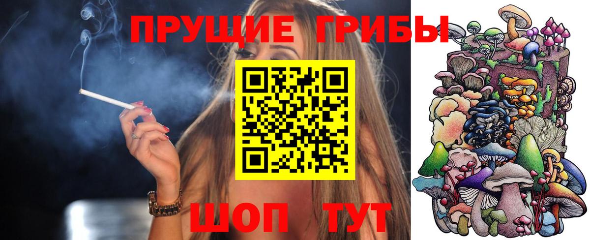 Минеральные Воды  Псилоцибиновые грибы мицелий  Вход с VPN 